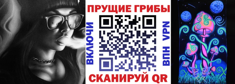 Псилоцибиновые грибы мухоморы  мега вход  Томск  закладки 